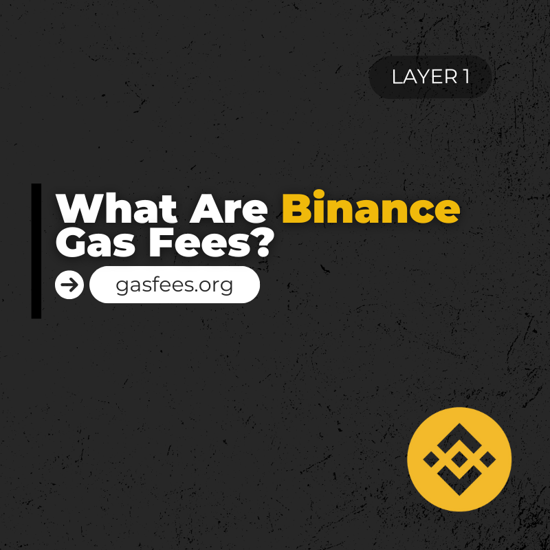 What Are Binance Gas Fees?